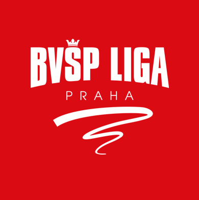 BVSPLIGA5